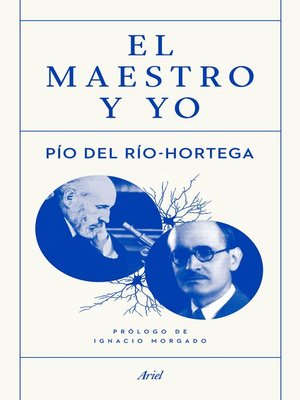 cover image of El maestro y yo